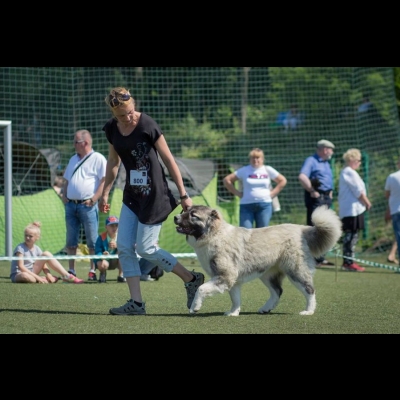 IDS ŁÓDŹ'18 - VALKYRIA